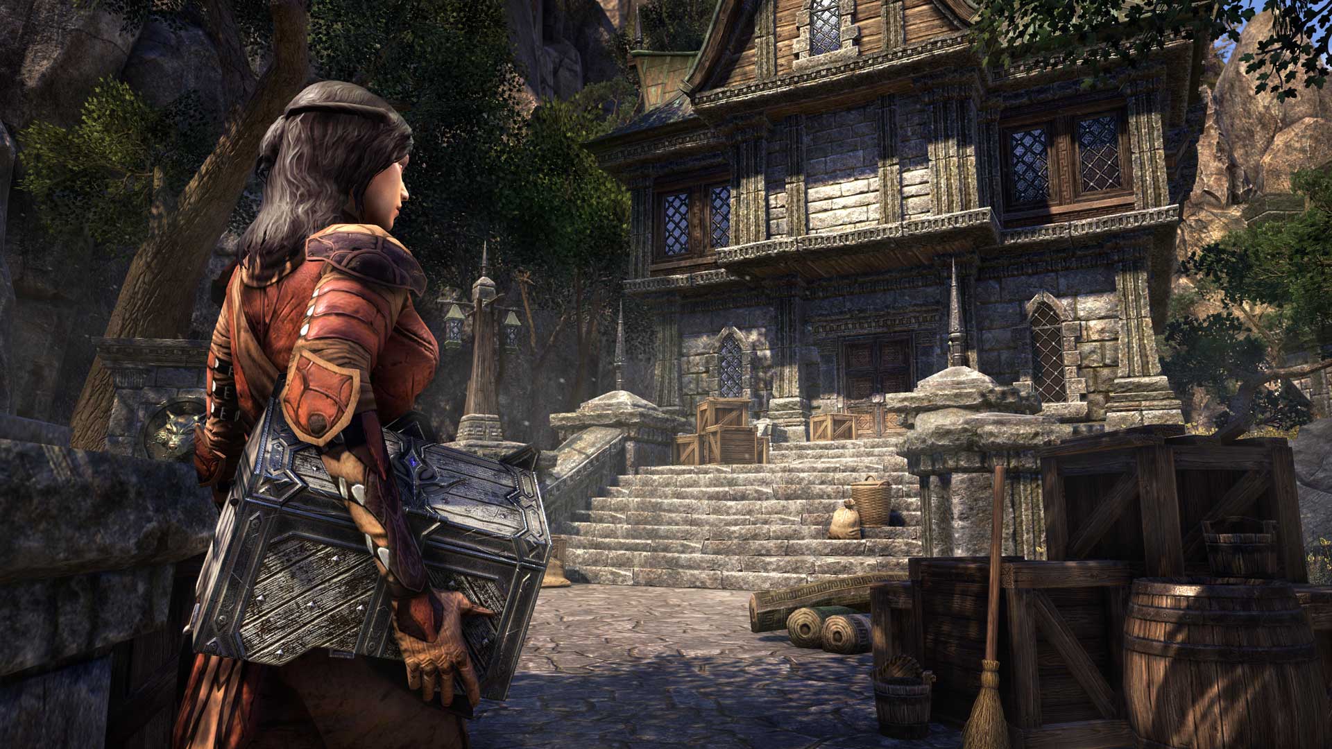 The Elder Scrolls Online Homestead 4