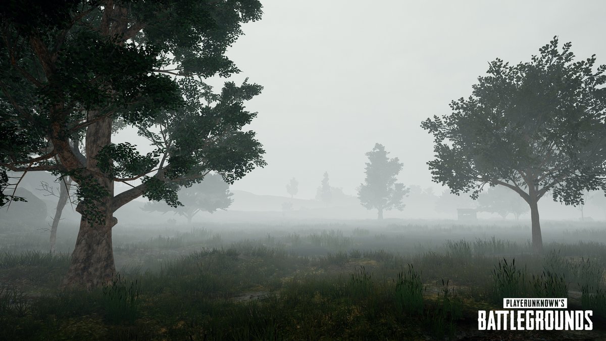 Playerunknown’s Battlegrounds Niebla