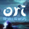 Requisitos de Ori and the Will of the Wisps