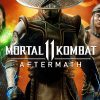 Mortal Kombat 11 Aftermath Análisis ID