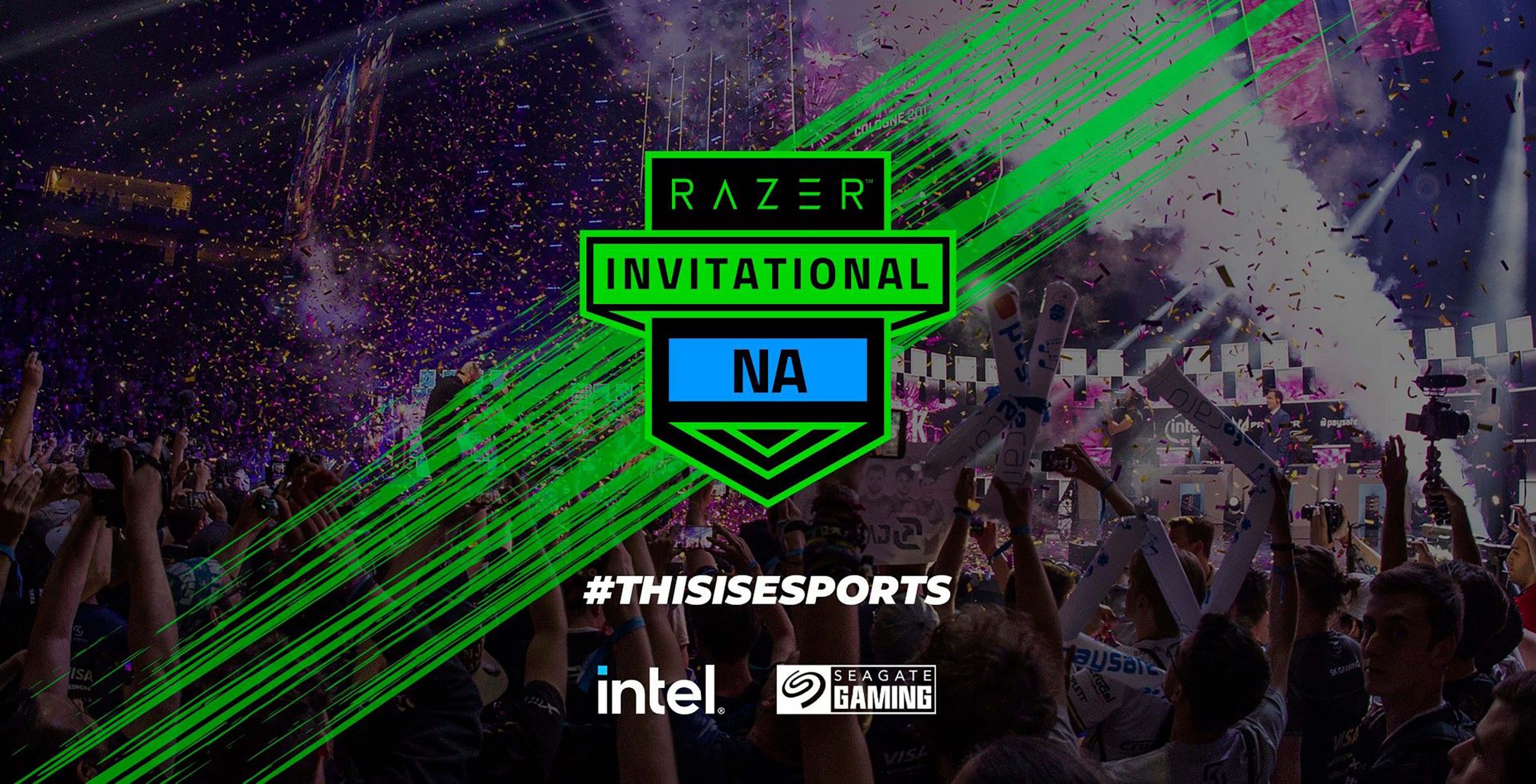 Razer Invitational 2021 Art 1 scaled