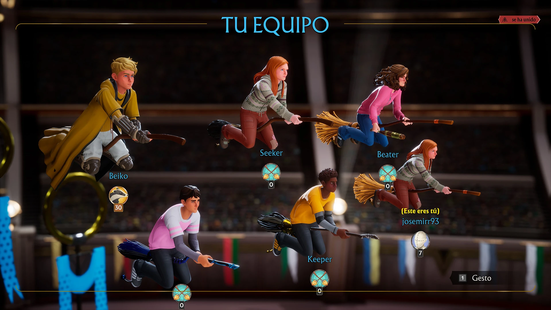 Harry Potter Campeones de quidditch